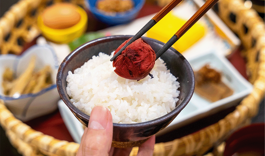 食事の写真1